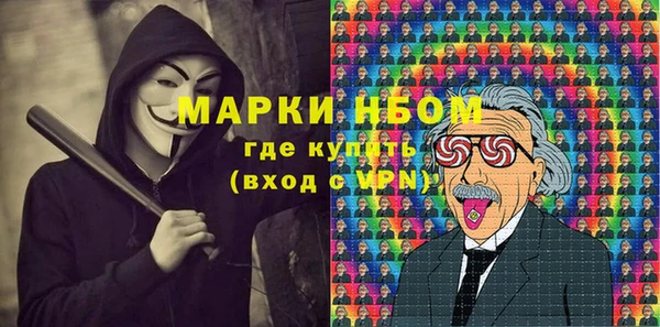 хмурый Магас