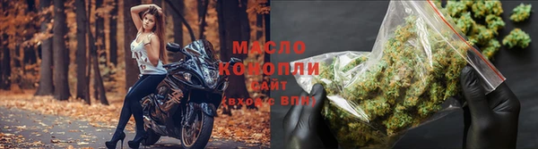 хмурый Магас