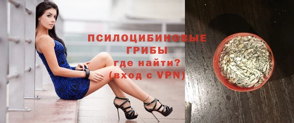 хмурый Магас