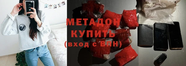 прущие грибы Магадан
