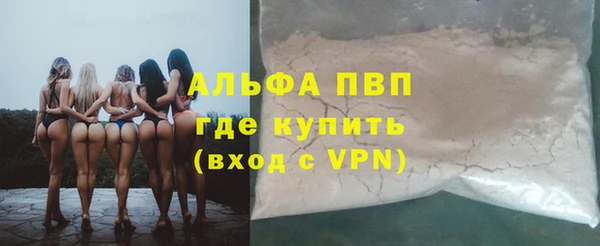 хмурый Магас