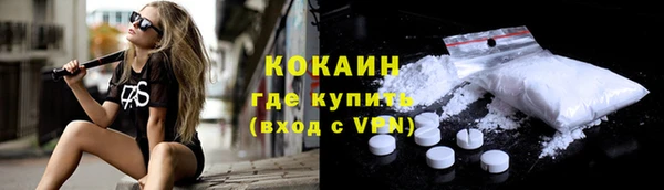 хмурый Магас