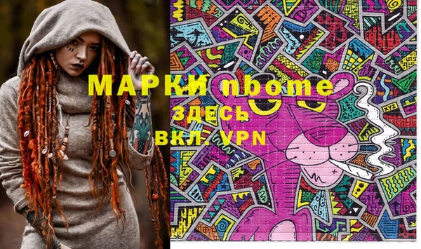 прущие грибы Магадан