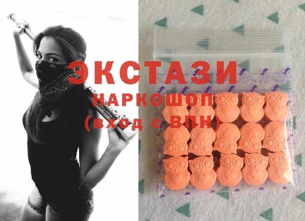 хмурый Магас