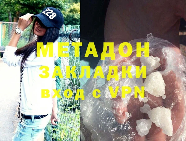 прущие грибы Магадан