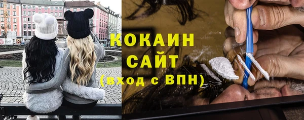 прущие грибы Магадан