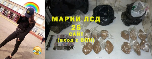 хмурый Магас