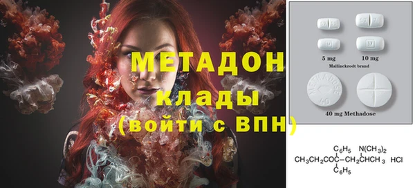 прущие грибы Магадан