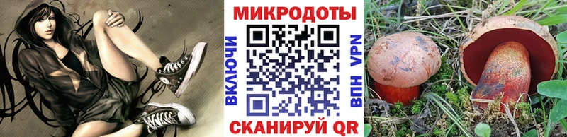 дарк нет клад Ногинск Галлюциногенные грибы мицелий цена