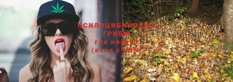 Галлюциногенные грибы GOLDEN TEACHER Ногинск