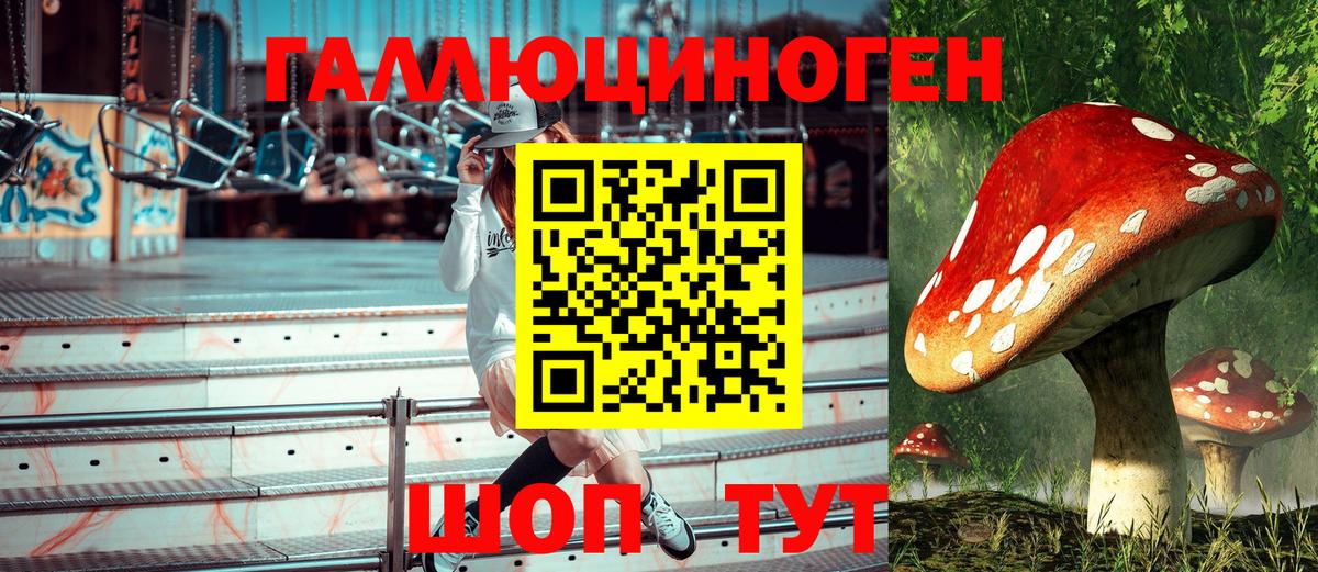 Псилоцибиновые грибы прущие грибы Ногинск