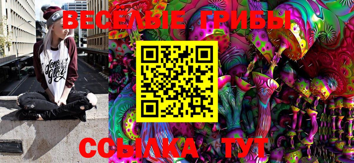 Псилоцибиновые грибы Magic Shrooms Ногинск