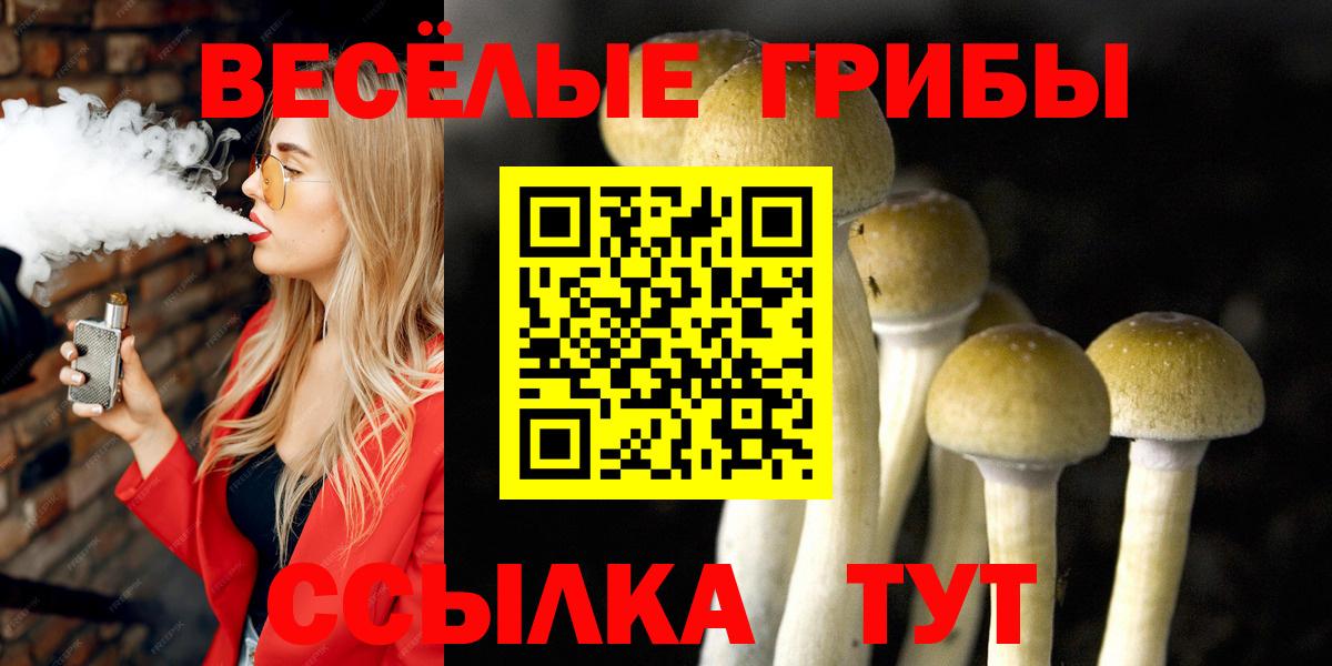 Ногинск  Галлюциногенные грибы Magic Shrooms  Вход с VPN 